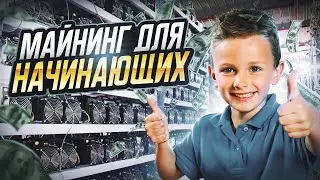 КАК НАЧАТЬ МАЙНИТЬ В 2024 ГОДУ? КАК ДОБЫВАТЬ КРИПТОВАЛЮТУ?