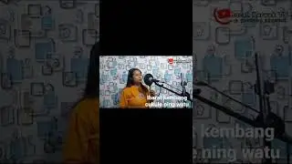 TANGISAN RINDU || Akustik TARLING #short