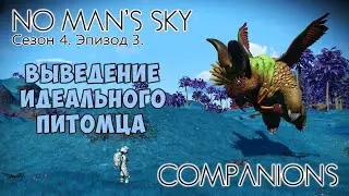 No Mans Sky: Companions. Сезон 4. Эпизод 3. Идеальный питомец.