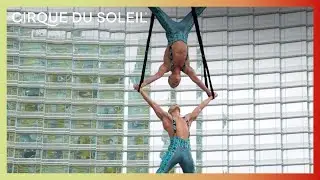 Zarkana by Cirque du Soleil | Aerial Straps Act Live | Cirque du Soleil