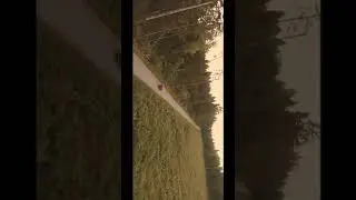КЛАВА КОКА и Niletto 🤳
