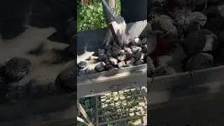 Рецепт пикантных крылышек скоро на нашем ютуб канале 🔥А пока насладитесь нашей атмосферой 🍀☘️🌲🐓🔥👍🤗☀️
