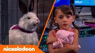Grzmotomocni | Gdzie mój kocyk?! | Nickelodeon Polska