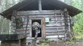 ОХОТА В ТАЙГЕ / ПОХОД НА ИЗБУ / ПРИВАДА НА МЕДВЕДЯ / ЗВЕРЬ ПОВРЕДИЛ ФОТОЛОВУШКУ  / ОДИН В ТАЙГЕ