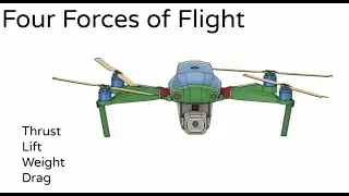 Four Forces of Flight