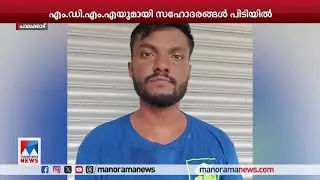 എം.ഡി.എം.എയുമായി സഹോദരങ്ങള്‍ ഉള്‍പ്പെടെ 3 യുവാക്കള്‍ അറസ്റ്റില്‍ | Palakkad | MDMA