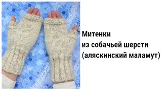 МИТЕНКИ  ИЗ  СОБАЧЬЕЙ  ШЕРСТИ // Fingerless mittens from  dog hair //