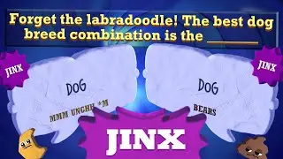 Jackbox: HIGHLY Improbable Jinxes