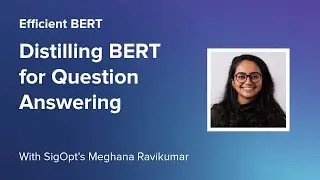 Efficient BERT: Distilling BERT for Question Answering