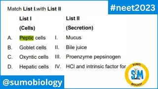 Match list I with list II - peptic cells, goblet cells, hepatic cells, oxyntic cells, mucus, bile ..