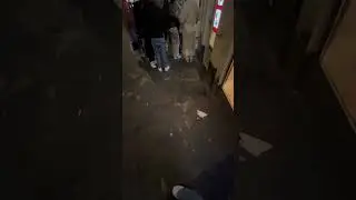 15 апреля 2024 г.