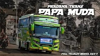 BIS MEDIUM MBOISS ‼️ NGOYOD PRADANA TRANS PAPA MUDA || FULL TELOLET MODUL DAV