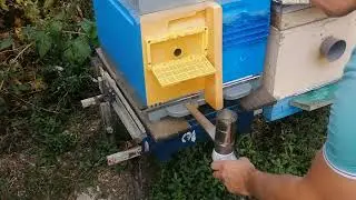 Простое и Эффективное приспособление борьбы с клещем Варроа и Трахейным .