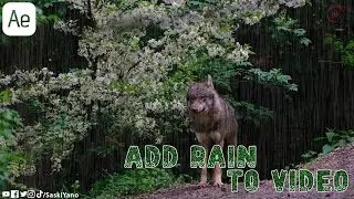 Add Rain to Video in Adobe After Effects