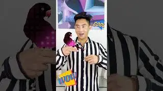 Snap your fingers!