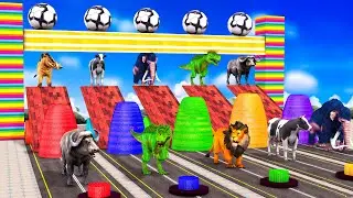 Funny Wild Animal Dinosaur Buffalo Elephant Tiger Cow Choose Right Fountain Crossing Game Color Game