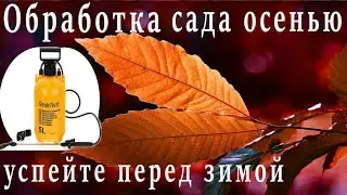 🍒ОСЕННЯЯ ИСКОРЕНЯЮЩАЯ ОБРАБОТКА САДА 🍎 ГОТОВИМ ДЕРЕВЬЯ К ЗИМЕ