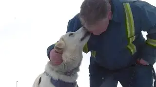 Veteran says his service dog was banned from a Saskatchewan church