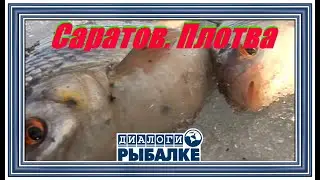 Диалоги о рыбалке - 013/ Саратов. Плотва!