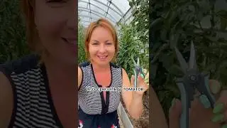Что срезать у томатов 🍅 автор: poli_na_malina
