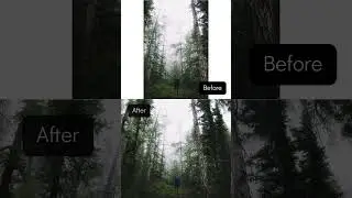 how to expand photos in Luminar Neo 