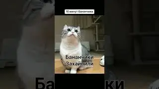 #бананчики