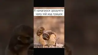 #web