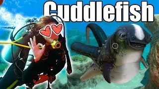 Cuddlefish - Localização dos 4 ovos - Subnautica