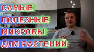 МИКРОБЫ, КОТОРЫЕ ЖИВУТ ВНУТРИ РАСТЕНИЙ. Польза от Такого Взаимодействия!