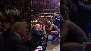 US President-elect Donald Trump in attendance at UFC 309 at Madison Square Garden (2)