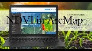 How to Calculate Normalized Difference Vegetation Index (NDVI) in ArcMap 10.5
