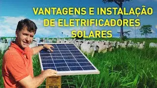 CONHEÇA O ELETRIFICADOR SOLAR  PARA CERCA ELÉTRICA MAIS POTENTE DO MERCADO !