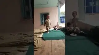 zafarchik