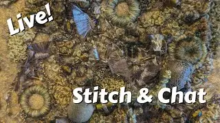 Stitcch & Chat