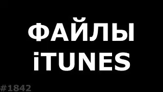 Где iTunes хранит свои файлы