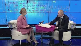 Знаю всё: «КОРМЛЕНИЕ, СОДЕРЖАНИЕ И РАЗВЕДЕНИЕ КРОЛИКОВ» (Вся Уфа, 24.11.2020)