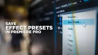 Save EFFECT PRESETS in Premiere Pro