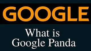 What is Google Panda ?