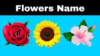 Flowers Names | Flowers Names for Kids | Learn Flowers Names with Spelling