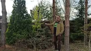 Клеть-каркас для Рододендронов от Кью. Опыт применения Александра Высоконова.