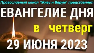 Евангелие дня. 29 июня 2023. Четверг. Чтение от Матфея. О маслине и ее ветвях