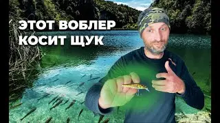 ЭТОТ ВОБЛЕР КОСИТ ЩУК