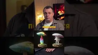 Грибы Играют На Пианино🍄 Это Не Глюк!