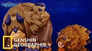 IF GENSHIN HAS A WILDLIFE DOCUMENTARY! (SHAGGY SUMPTER BEAST) | Genshin Impact