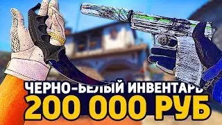 САМЫЙ КРАСИВЫЙ ЧЕРНО БЕЛЫЙ ИНВЕНТАРЬ ЗА 200 000 РУБЛЕЙ В КС ГО - РИЧ ЗАКУПКА В CS:GO