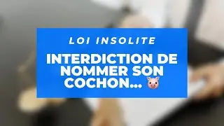 Il est interdit de nommer son cochon 🐷….