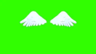 Green screen |👼 White angel wings | Valentine's Day | Footage | Video background | Download | №268