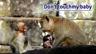 Maria beat and warn Mia far from newborn Mira, Pity Mia just want stay near Mira but mom not let her