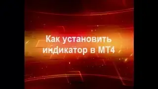 Как установить индикатор в MT4