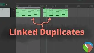 Reaper - How to Link or pool Duplicates